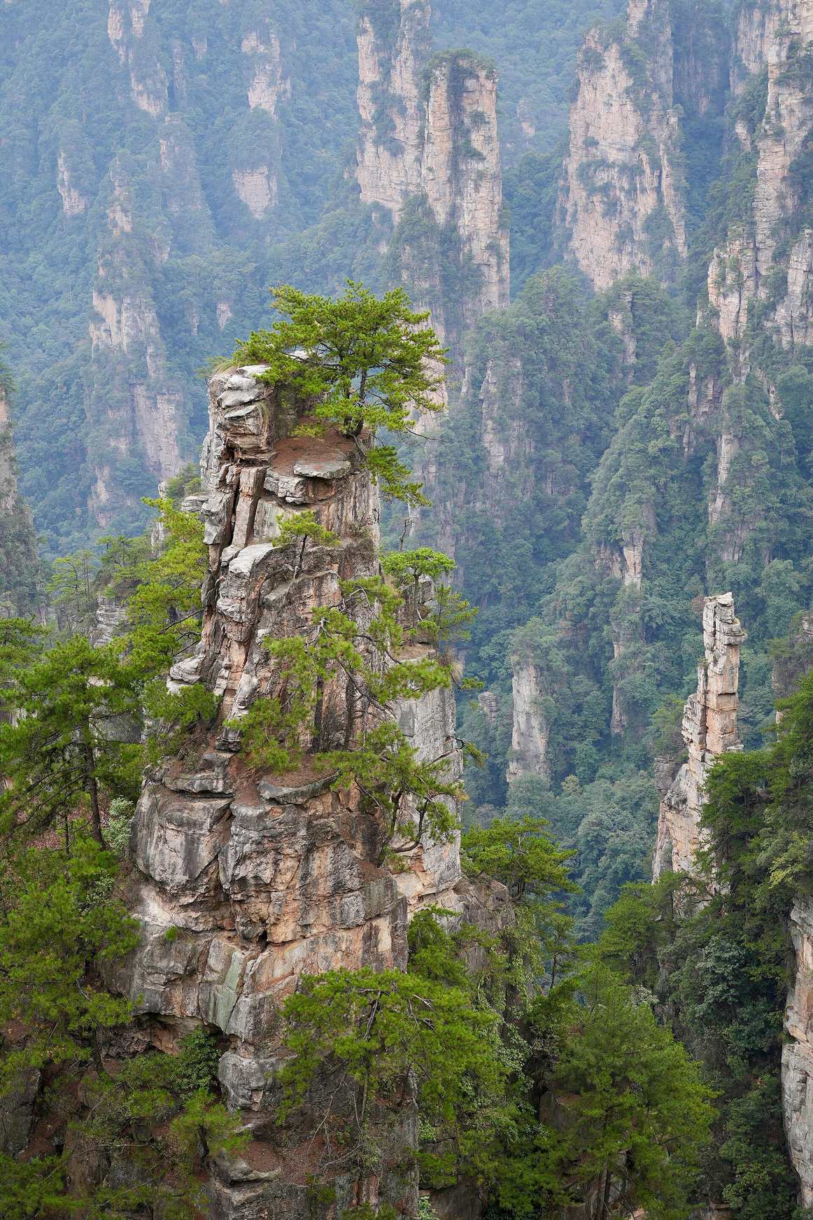 Private China tours